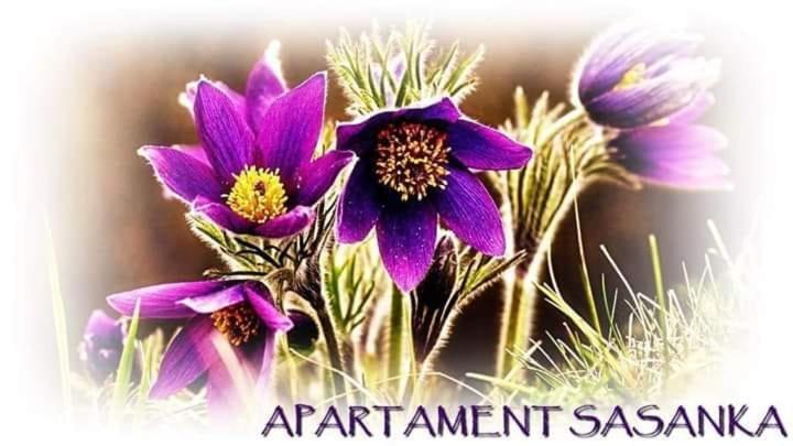 Apartament Sasanka Kowary Extérieur photo
